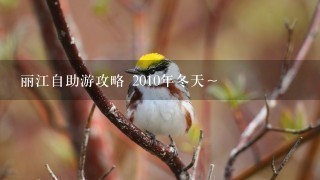 丽江自助游攻略 2010年冬天～