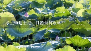 求上海迪士尼1日游最新攻略？