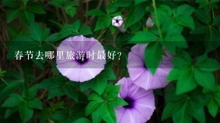 春节去哪里旅游时最好？