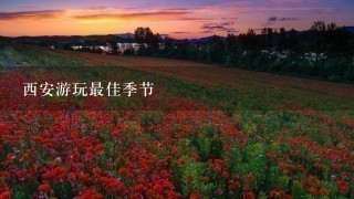 西安游玩最佳季节