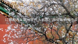 12月去西双版纳穿什么衣服？西双版纳哪里最值得玩？