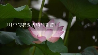 1月中旬我要去腾冲旅游