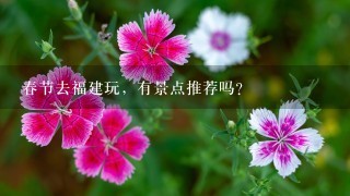 春节去福建玩，有景点推荐吗？