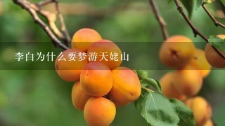 李白为什么要梦游天姥山