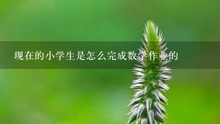 现在的小学生是怎么完成数学作业的