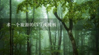 求1个旅游的PPT或模板