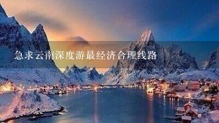 急求云南深度游最经济合理线路