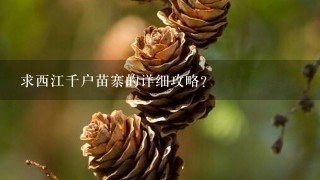 求西江千户苗寨的详细攻略?