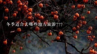 冬季适合去哪些地方旅游???