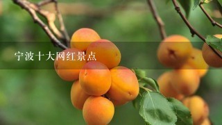 宁波十大网红景点