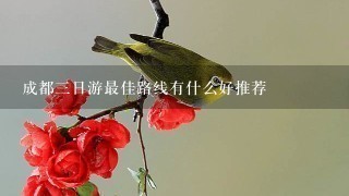 成都3日游最佳路线有什么好推荐