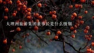 大理洲旅游集团董事长是什么级别