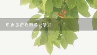 临沂旅游攻略必去景点