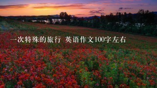 1次特殊的旅行 英语作文100字左右