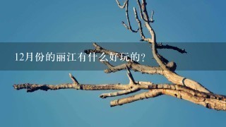 12月份的丽江有什么好玩的？