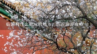 临沂有什么好玩的地方，临沂旅游攻略