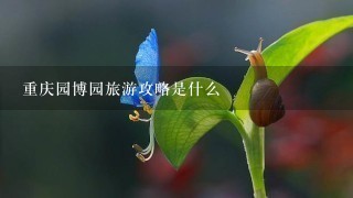 重庆园博园旅游攻略是什么