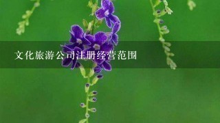 文化旅游公司注册经营范围