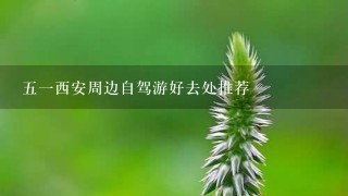 51西安周边自驾游好去处推荐