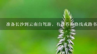 准备长沙到云南自驾游，有推荐的路线或路书没