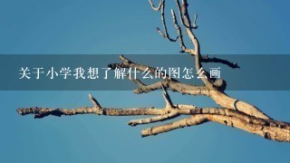 关于小学我想了解什么的图怎么画