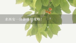 求西安1日游详细攻略！