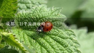 成都3日半旅游攻略