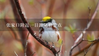 张家口附近1日游免费景点