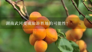 湖南武冈变成旅游胜地的可能性？