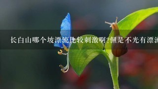 长白山哪个坡漂流比较刺激啊?但是不光有漂流，瀑布天池都在1起吗?