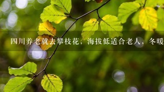 4川养老就去攀枝花，海拔低适合老人，冬暖夏凉，东