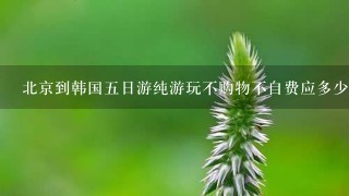 北京到韩国5日游纯游玩不购物不自费应多少费用