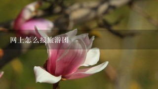 网上怎么报旅游团