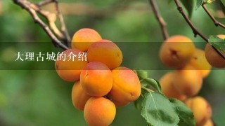 大理古城的介绍