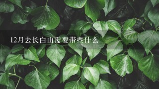 12月去长白山需要带些什么