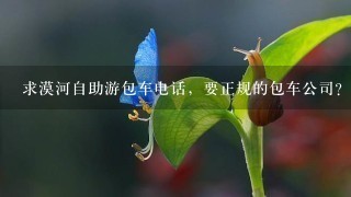 求漠河自助游包车电话，要正规的包车公司？