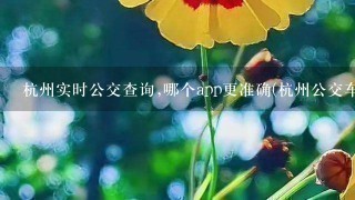 杭州实时公交查询,哪个app更准确(杭州公交车线路查询app)