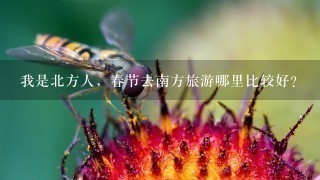 我是北方人，春节去南方旅游哪里比较好？