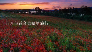 11月份适合去哪里旅行