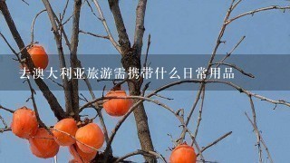 去澳大利亚旅游需携带什么日常用品