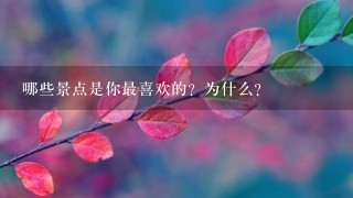 哪些景点是你最喜欢的？为什么？