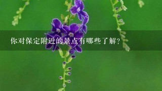 你对保定附近的景点有哪些了解？