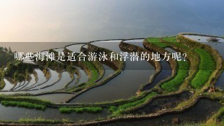 哪些海滩是适合游泳和浮潜的地方呢？