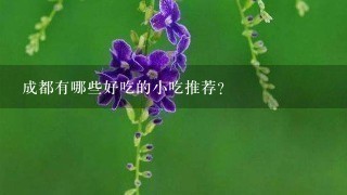 成都有哪些好吃的小吃推荐？