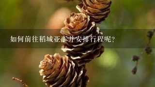 如何前往稻城亚丁并安排行程呢？