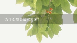 为什么要去延安旅游