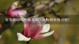 春节期间哪些地方可以体验到传统习俗?