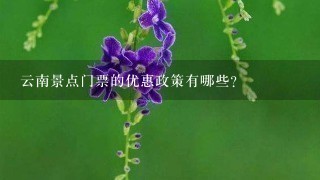 云南景点门票的优惠政策有哪些?