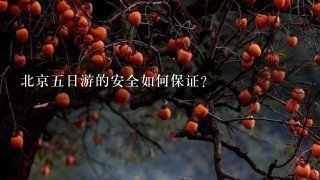 北京五日游的安全如何保证?