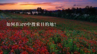 如何在app中搜索目的地?